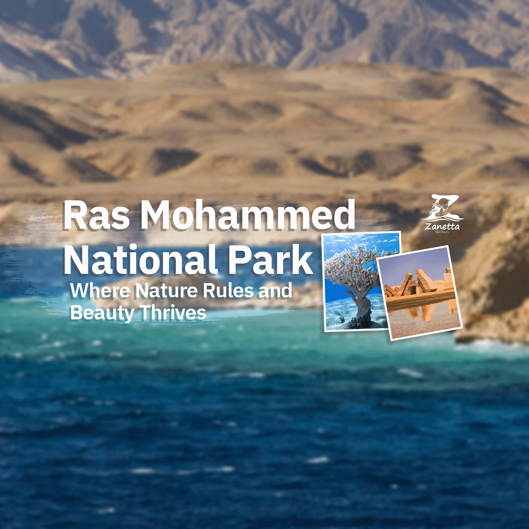 Ras Mohammed National Park: Where Nature Rules and Beauty Thrives