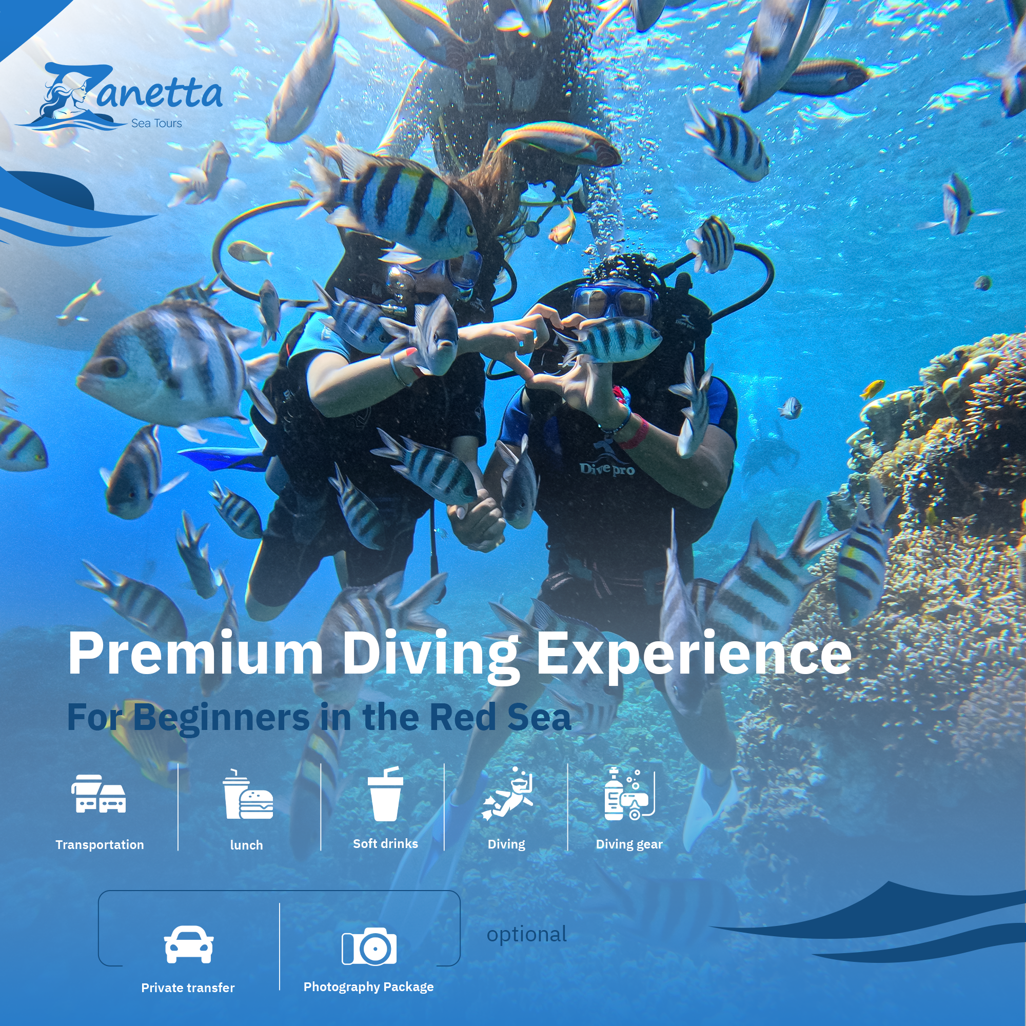 Premium Diving Experience for Beginners in the Red Sea with Lunch & Soft Drinks