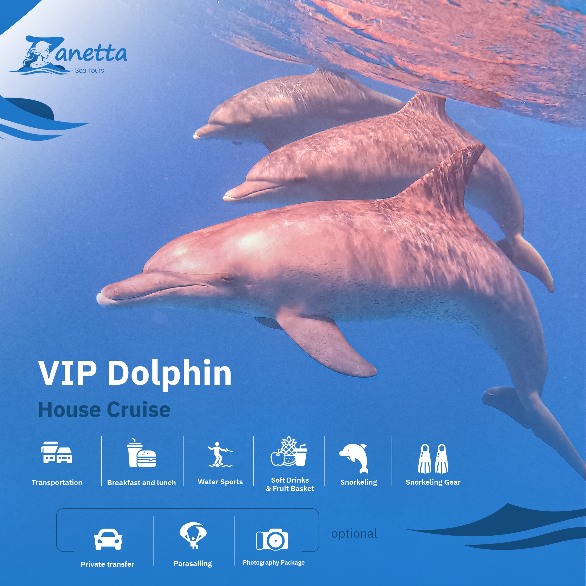 Dolphin Watching Boat: Swim with Dolphins, Snorkeling, Breakfast & Lunch