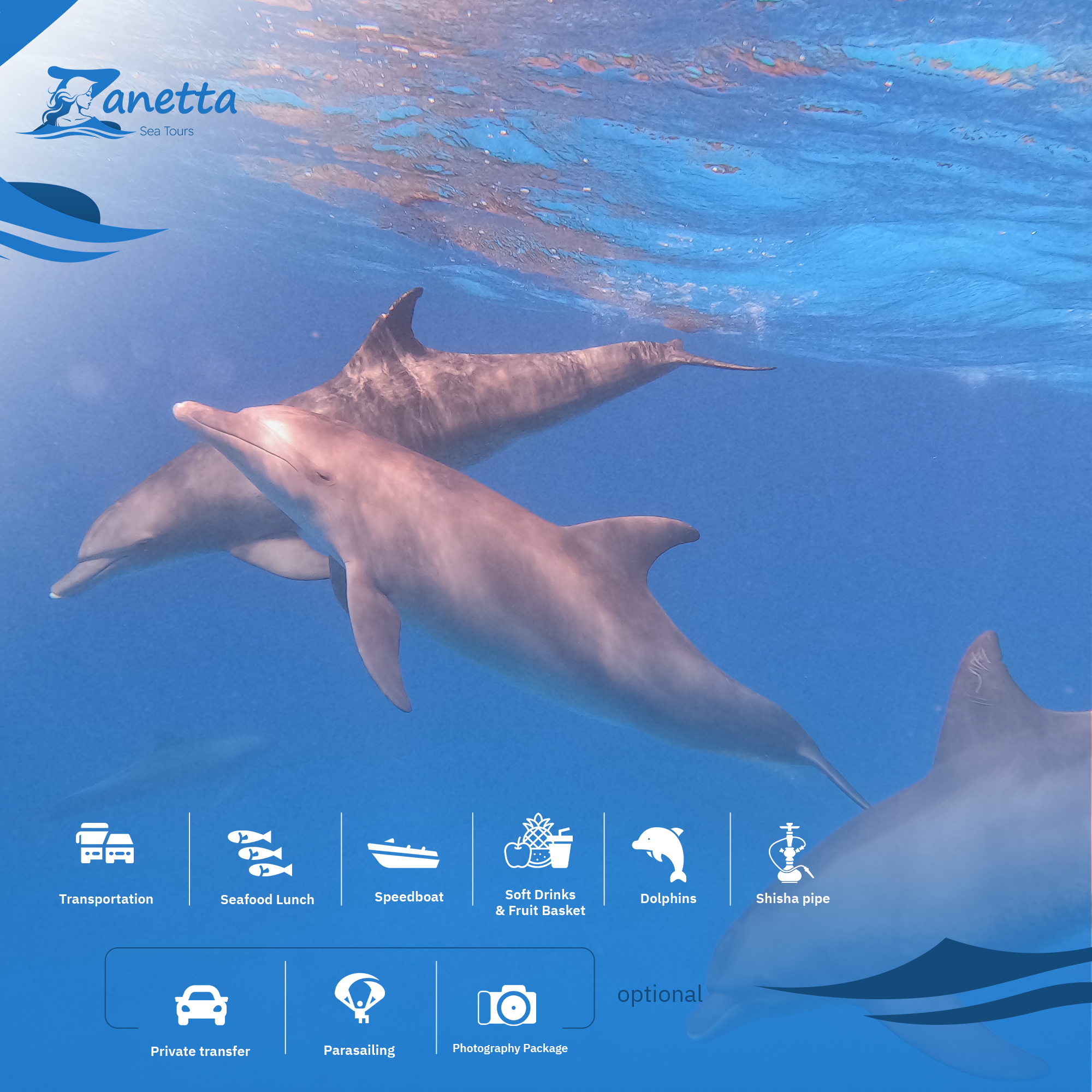 Dolphin Watching Boat: Swim with Dolphins, Snorkeling, Breakfast & Lunch